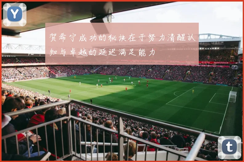 贺希宁成功的秘诀在于努力清醒认知与卓越的延迟满足能力