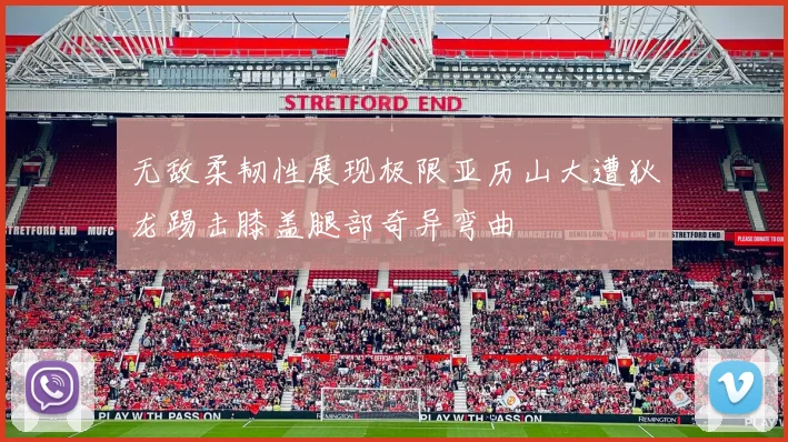 无敌柔韧性展现极限亚历山大遭狄龙踢击膝盖腿部奇异弯曲