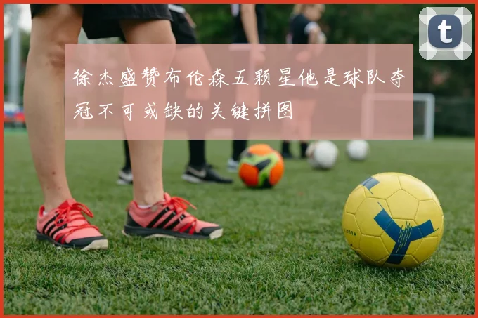 徐杰盛赞布伦森五颗星他是球队夺冠不可或缺的关键拼图